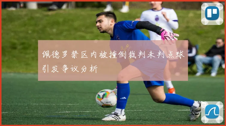 佩德罗禁区内被撞倒裁判未判点球引发争议分析