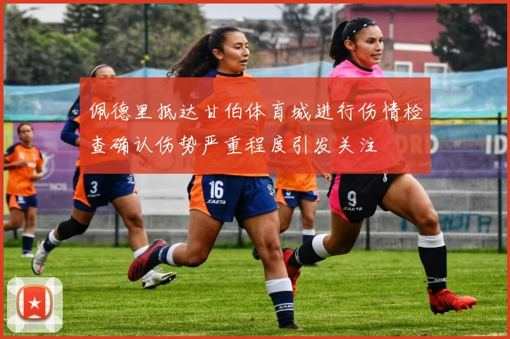 佩德里抵达甘伯体育城进行伤情检查确认伤势严重程度引发关注